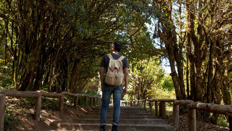 Ministério do Turismo Impulsiona a Conservação em Parques Nacionais para Estimular o Turismo Sustentável Imagem do artigo