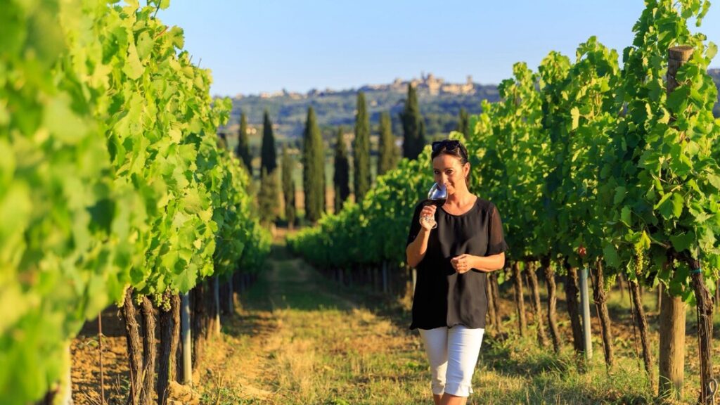 Toscana: A Preferência dos Estrangeiros no Turismo Enogastronômico Imagem do artigo