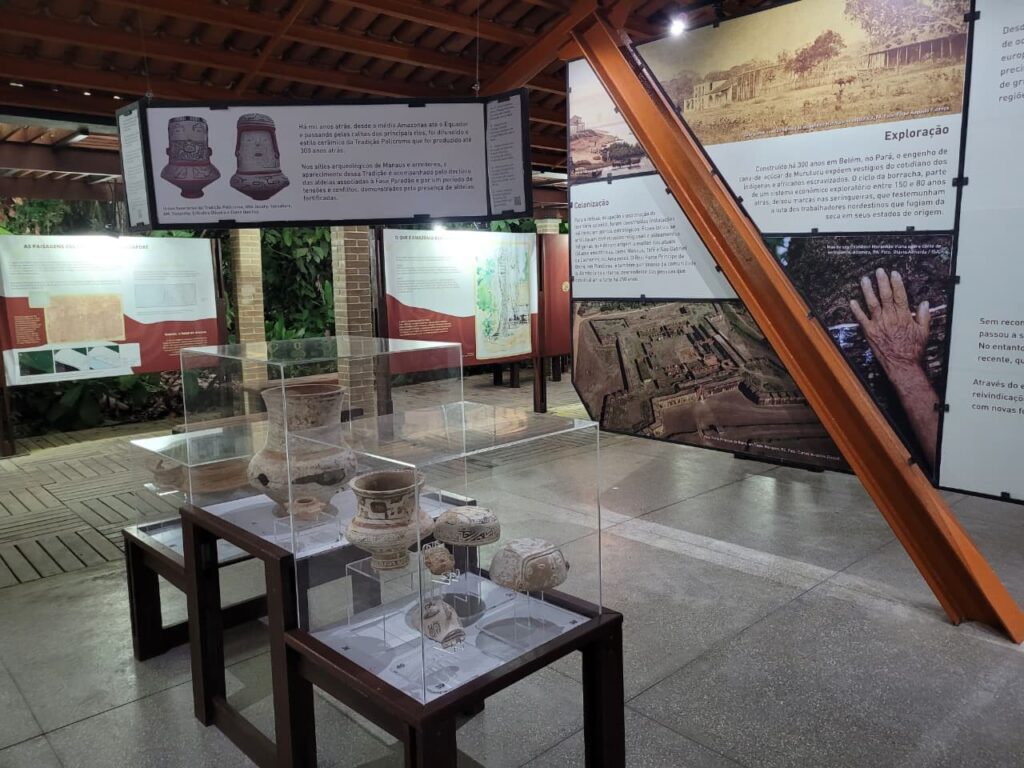 Descubra o Museu Amazônico que Habita uma das Maiores Florestas Urbanas do Brasil