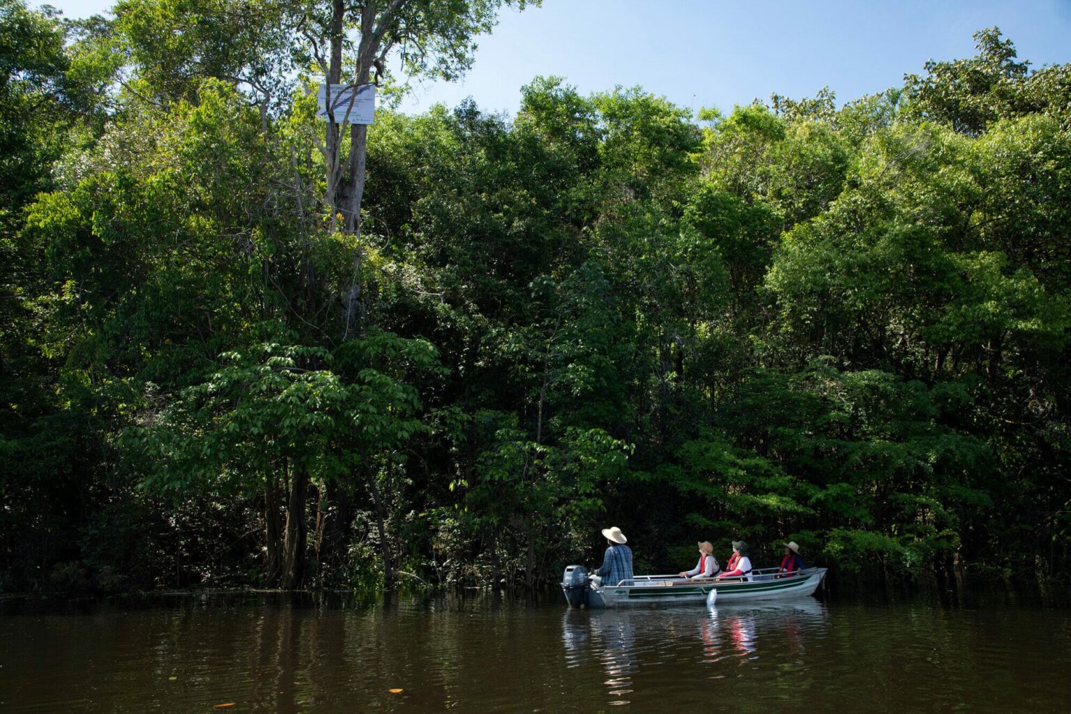 MPF Aciona Justiça para Suspender Projeto de Carbono em Territórios Tradicionais do Amazonas