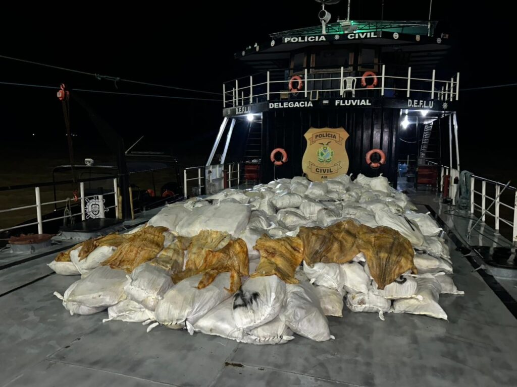 Delegacia Fluvial Apreende 12 Toneladas de Pirarucu Seco no Amazonas