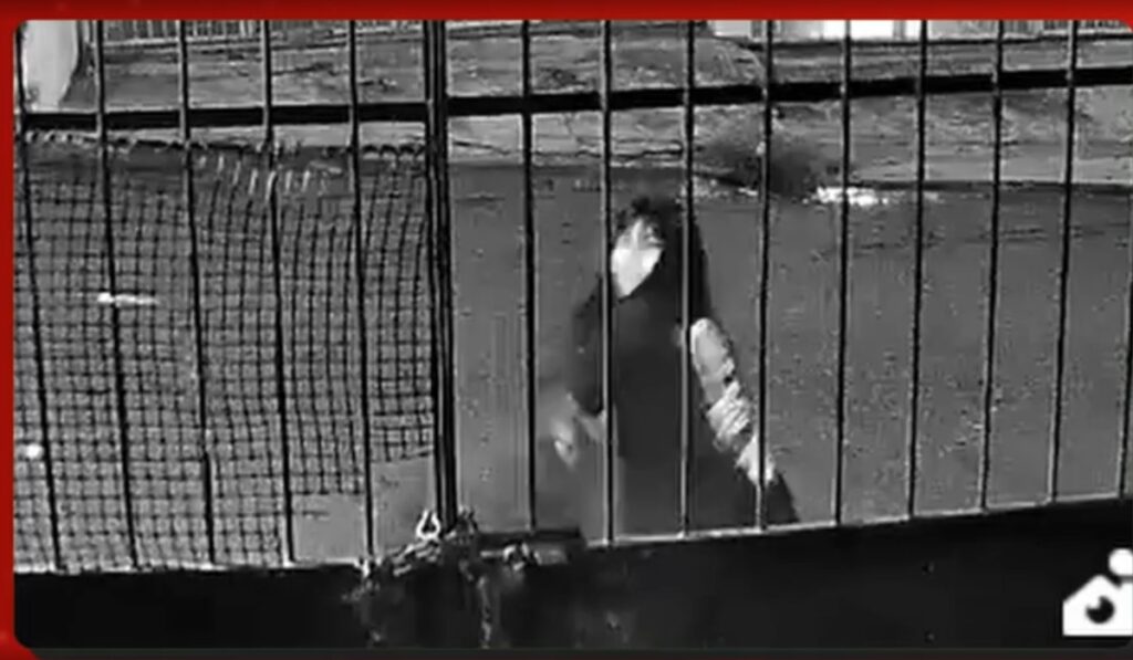 Discussão Precede Feminicídio em Manaus: Vídeo Revela Detalhes do Crime