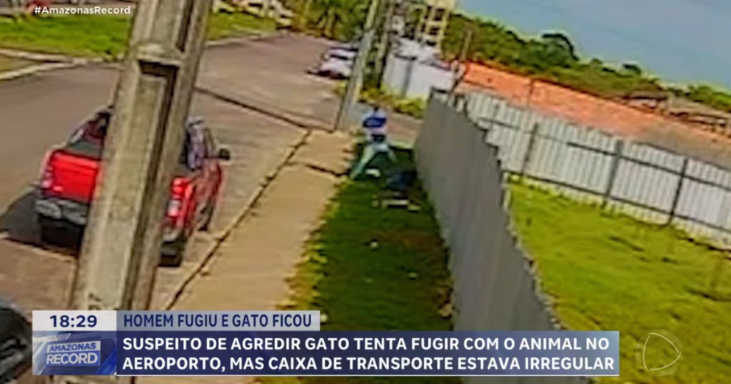 Homem é flagrado agredindo gato em Manaus: indignação e investigação