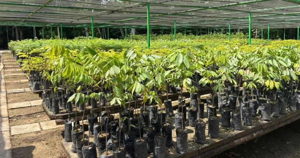 Petrobras Inova na Extração de Petróleo com Foco na Sustentabilidade na Amazônia