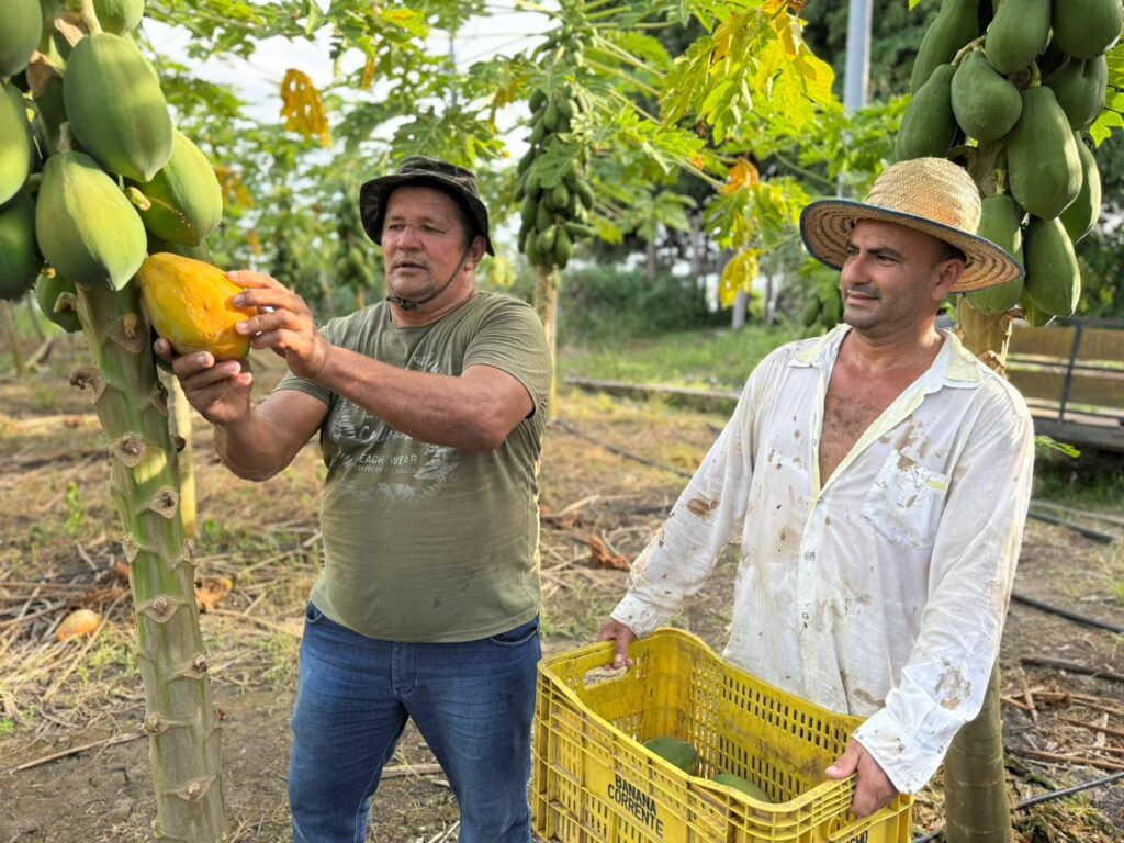 Prefeitura de Manaus e Ufam: Acordo para Capacitação de Agricultores Familiares