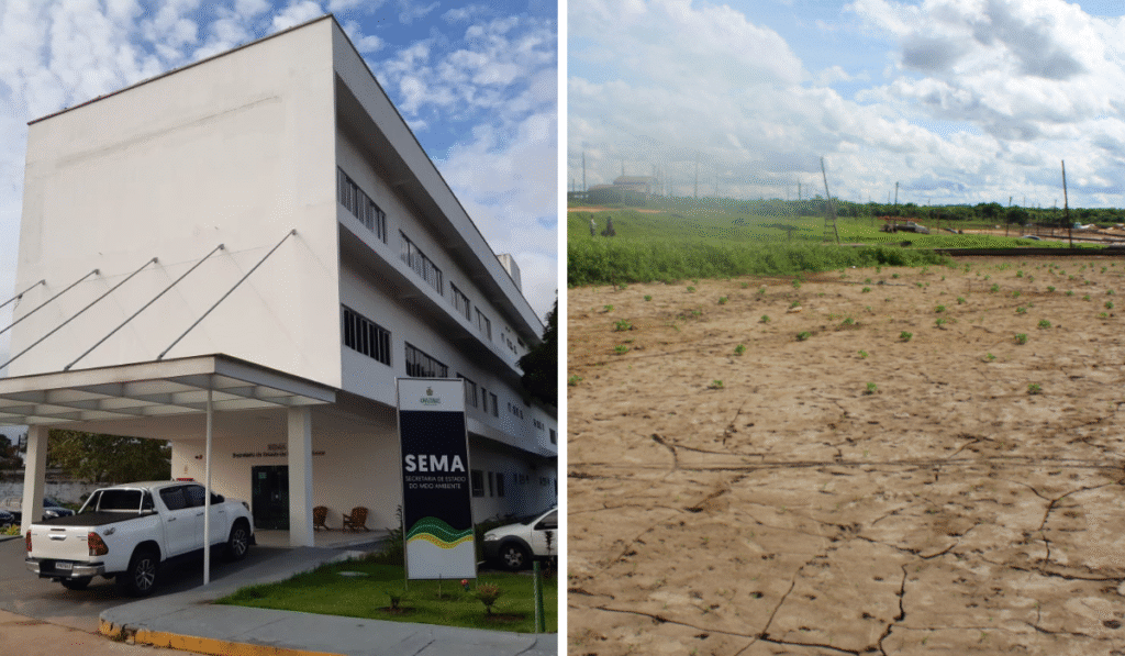 Queda de Quase 31% no Orçamento Ambiental do Amazonas: Um Alerta para o Futuro