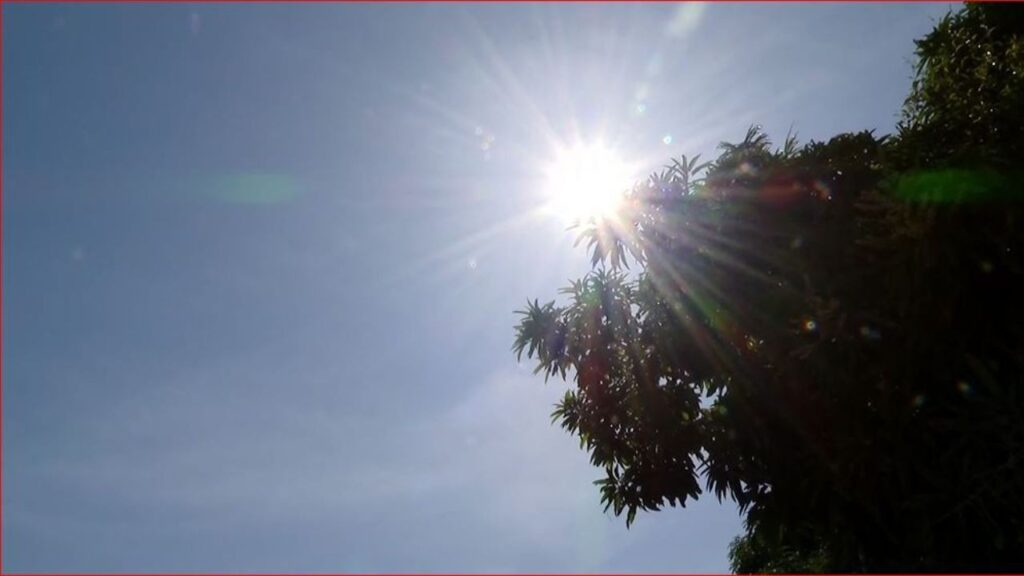 Recorde Histórico: Amazonas Registra Menor Número de Focos de Calor em 2025