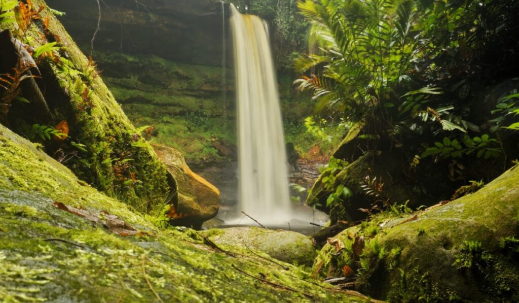 Trilhas no Amazonas: Dicas de segurança após caso de desaparecimento no Pico Paraná