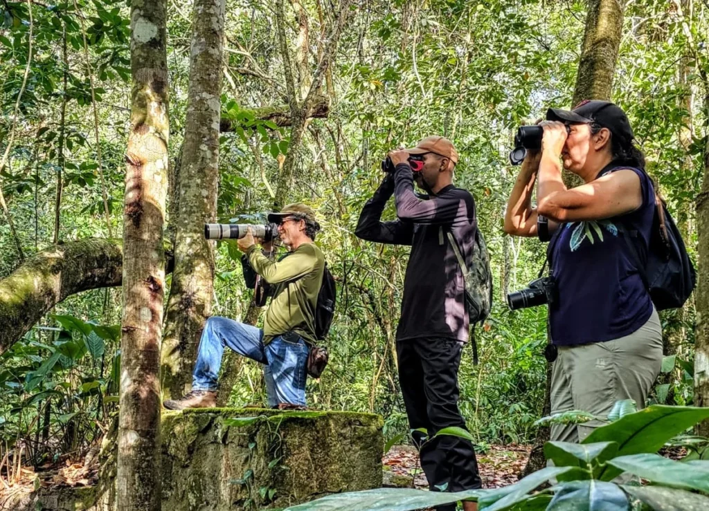 Turismo de Observação de Aves em Pernambuco: Edital Impulsiona Desenvolvimento Sustentável