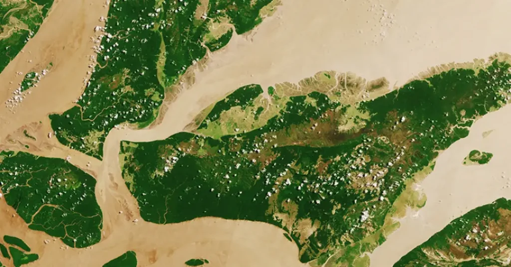 Vazamento na Foz do Amazonas: Alerta sobre os riscos da exploração de petróleo