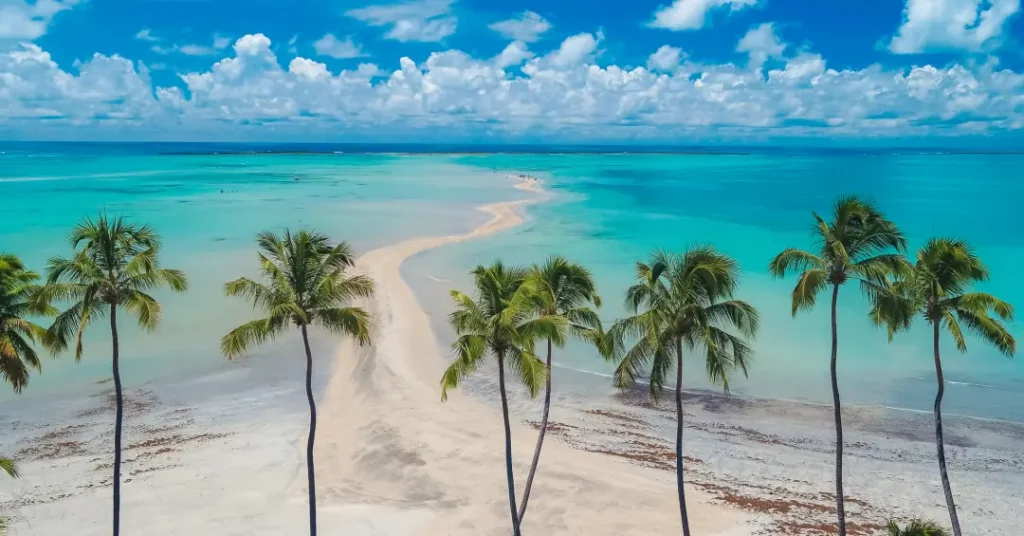 7 Praias Imperdíveis em Maragogi para Conhecer em 2024