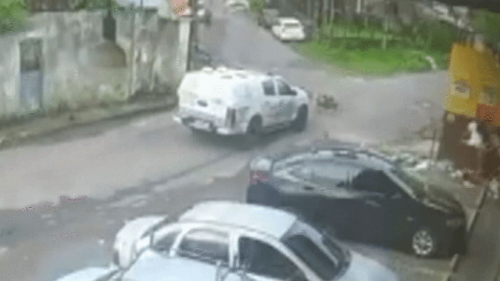Afastamento de Policiais após Atropelamento de Cães em Manaus