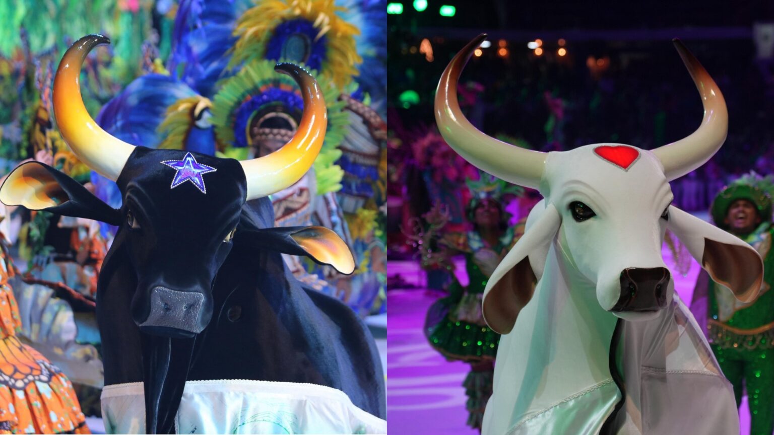 Caprichoso e Garantido Anunciam Agenda de Ensaios e Apresentações para o Festival de Parintins 2026