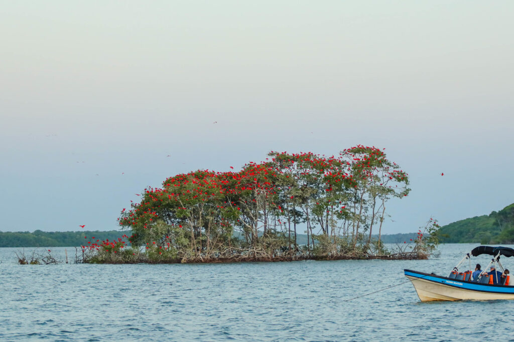 Crescimento da Indústria do Turismo no Piauí: 83% a Mais em Empregos até 2025 Crescimento da Indústria do Turismo no Piauí: 83% a Mais em Empregos até 2025