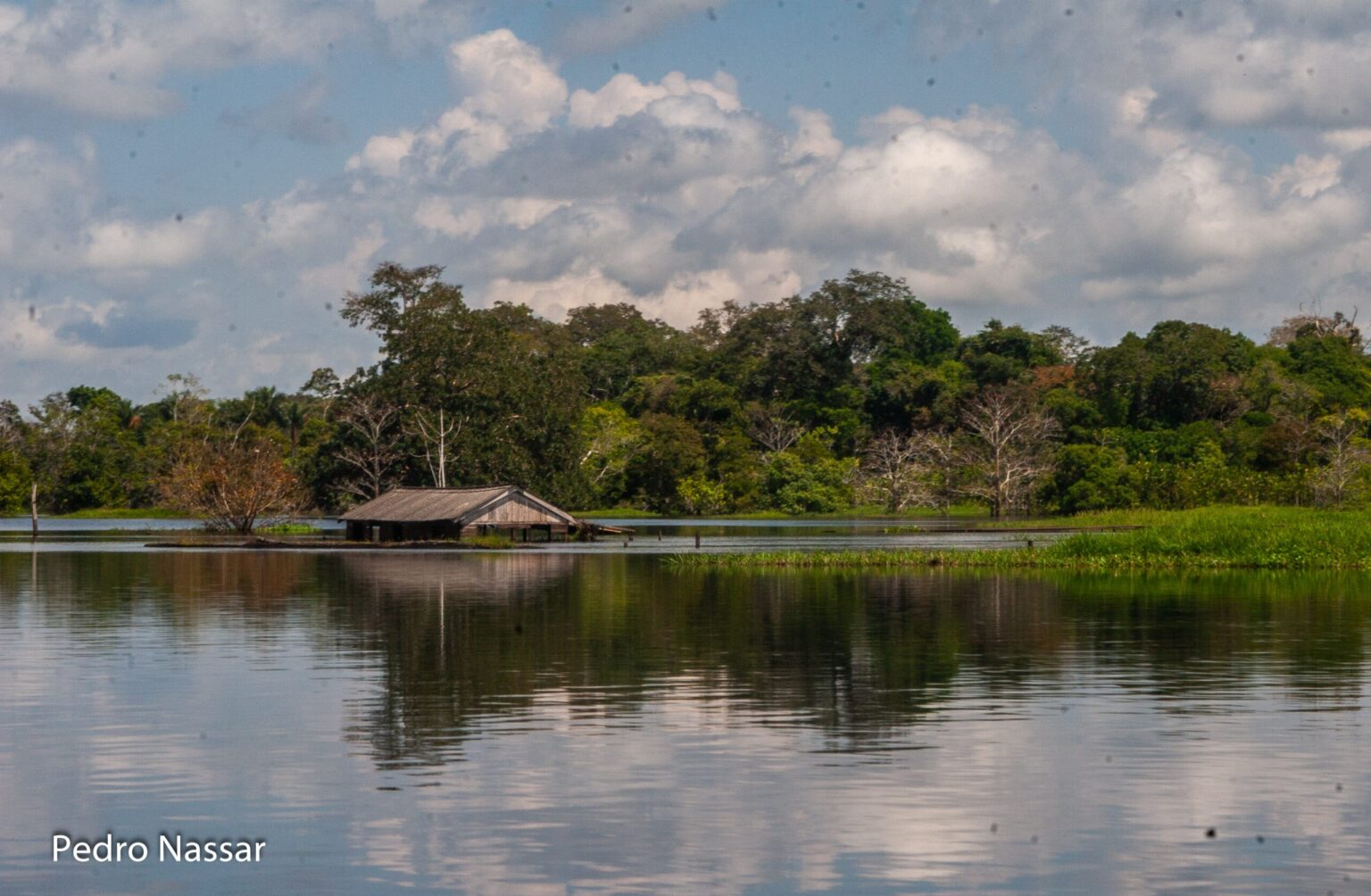 Desmatamento e Hidrelétricas Ameaçam Áreas Úmidas do Amazonas, Revela Estudo