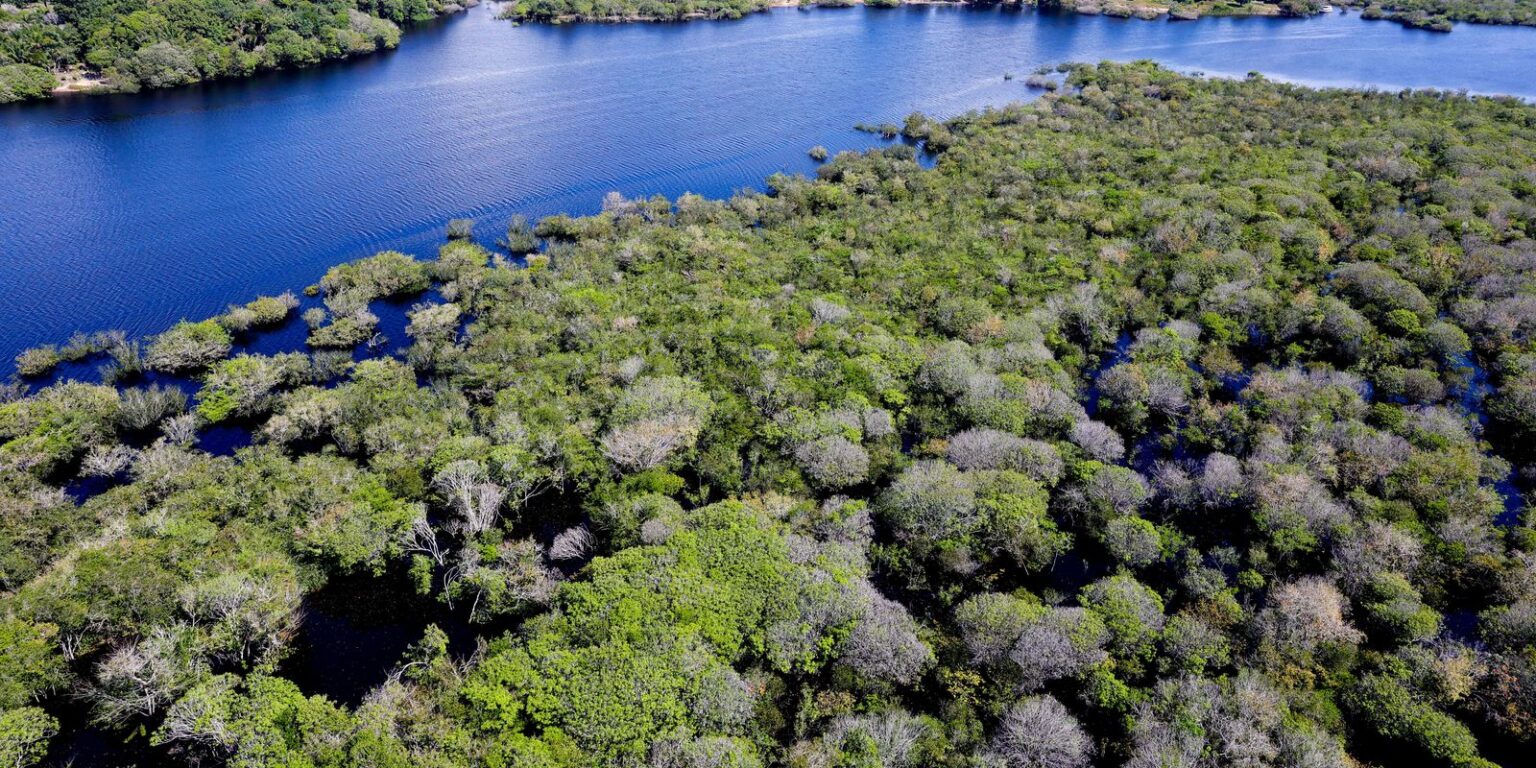 Governo Anuncia Edital para Combate ao Desmatamento na Amazônia
