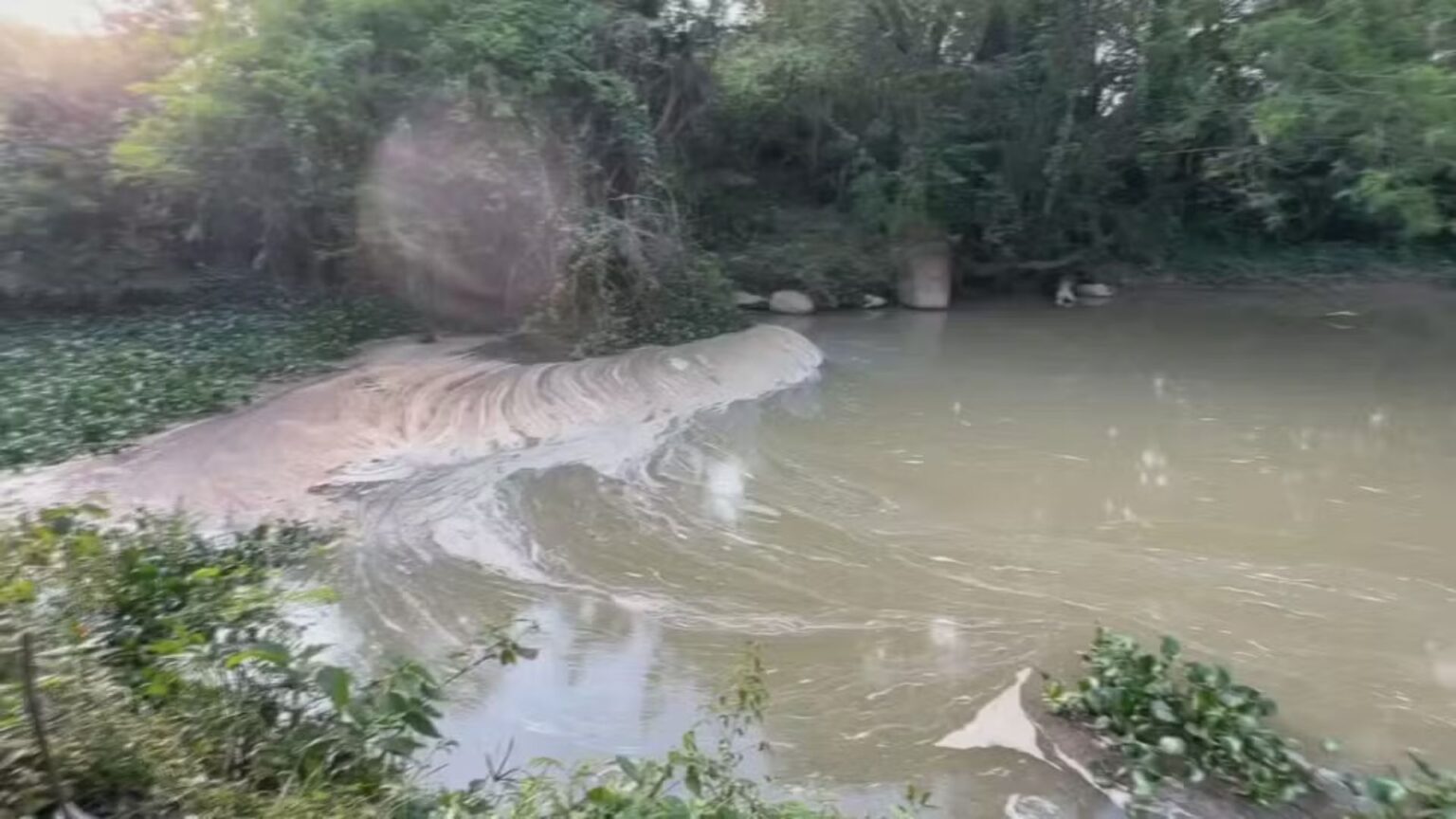 MP-SP Solicita Multa à SABESP por Despejo Irregular de Esgoto no Rio Pirapora MP-SP Solicita Multa à SABESP por Despejo Irregular de Esgoto no Rio Pirapora