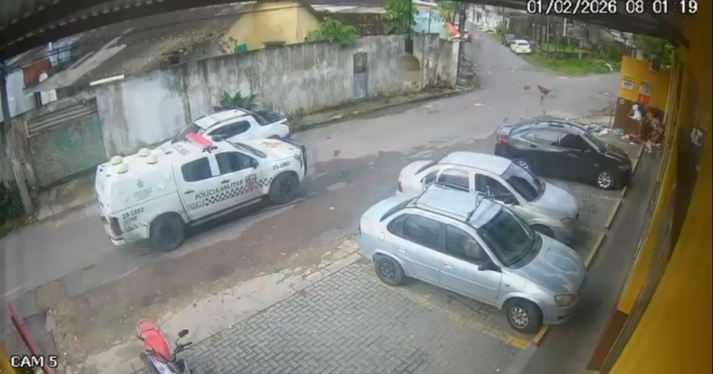 Policiais Afastados Após Morte de Dois Cães em Manaus: Entenda o Caso