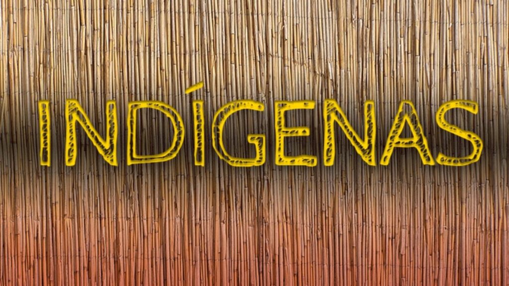 Tribunal Confirma Limitações em Turismo de Pesca em Terras Indígenas do Amazonas