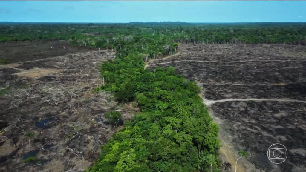 Unidades de Conservação e Terras Indígenas do Amazonas Sob Ameaça Imediata, Afirma Estudo
