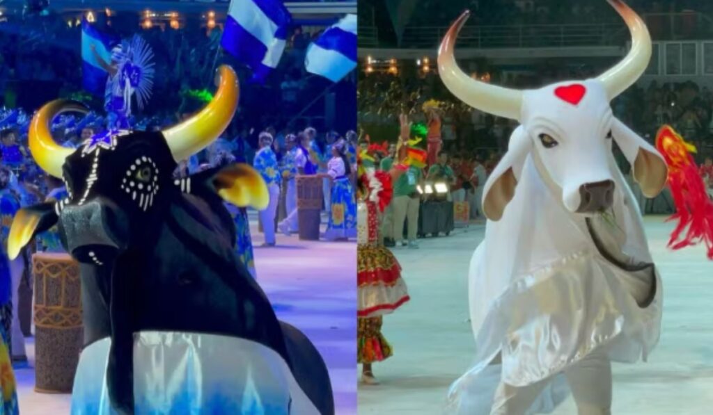 Arena Planeta Boi: A Magia de Caprichoso e Garantido em Manaus Arena Planeta Boi: A Magia de Caprichoso e Garantido em Manaus