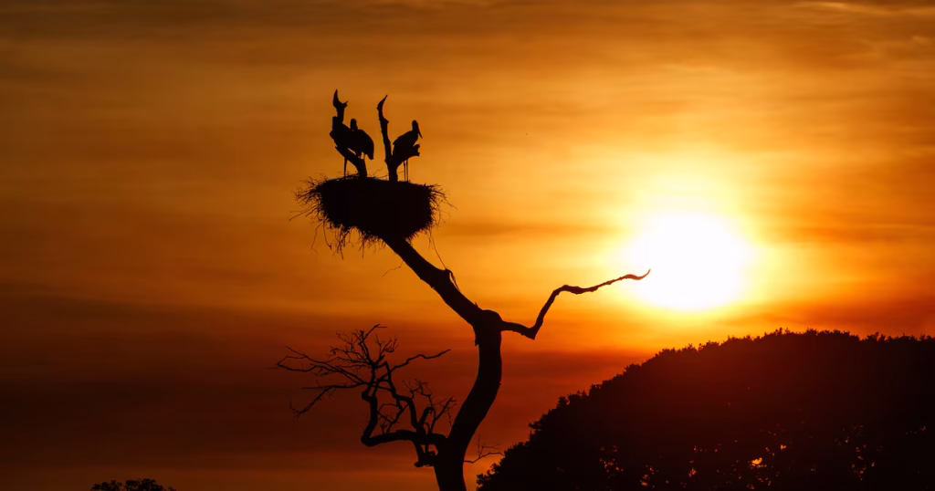 Crescimento Estrondoso do Setor de Experiências Turísticas em 2025