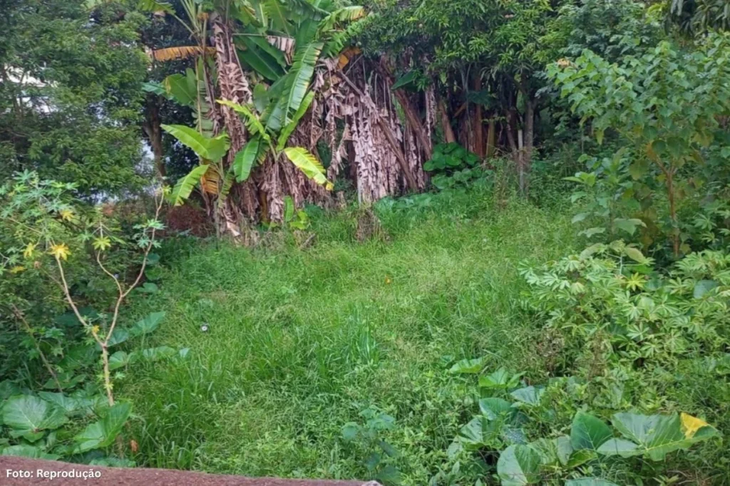 Fiscalização em Lafaiete: Mais de 4 mil lotes irregulares notificados em 2025