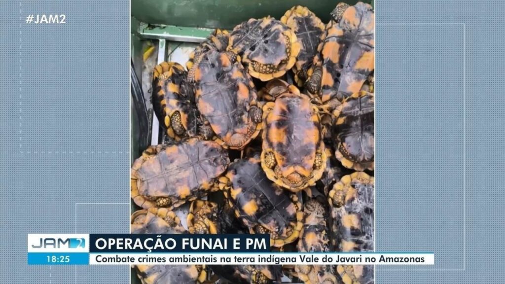 Indígena é Amarrado e Deixado à Deriva por Pescadores Ilegais no Amazonas