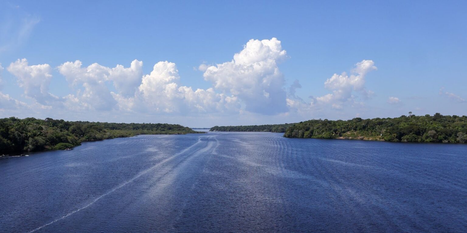 Jaraqui: Patrimônio Cultural do Amazonas e seu Impacto na Tradição Local