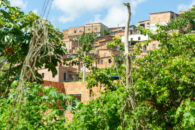 Manaus se Destaca com Crescimento de Favelas: Dados do Mapbiomas Revelam Realidade Alarmante Manaus se Destaca com Crescimento de Favelas: Dados do Mapbiomas Revelam Realidade Alarmante