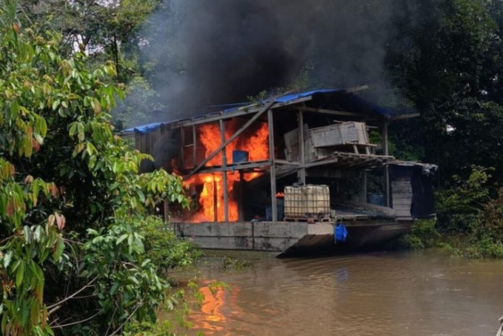 Operação Conjunta Desmantela Garimpo Ilegal no Amazonas Operação Conjunta Desmantela Garimpo Ilegal no Amazonas