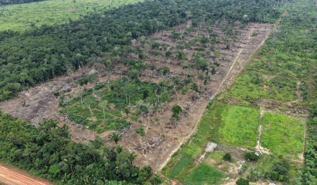 Operação Tamoiotatá 6: Mais de R$ 28 Milhões em Multas pelo Combate ao Desmatamento no Amazonas