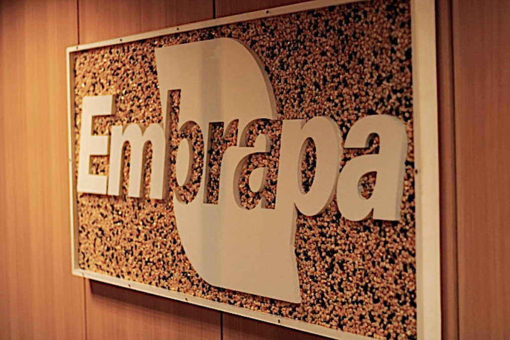 Oportunidades no Setor Agro: Embrapa Lança Editais para Seleção de Bolsistas no Amazonas