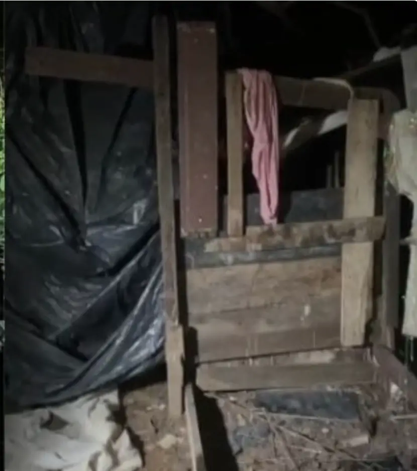 Descoberta Sinistra: Corpo de Homem Encontrado em Mata na Zona Oeste de Manaus Descoberta Sinistra: Corpo de Homem Encontrado em Mata na Zona Oeste de Manaus