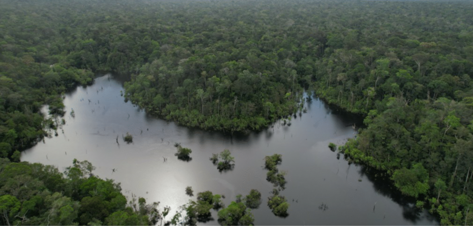 Governo Federal Libera Concessão Florestal em Área Crítica do Amazonas Governo Federal Libera Concessão Florestal em Área Crítica do Amazonas
