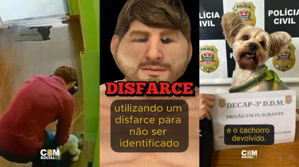 Homem Disfarçado Furtou Cachorro da Ex e Foi Detido em SP