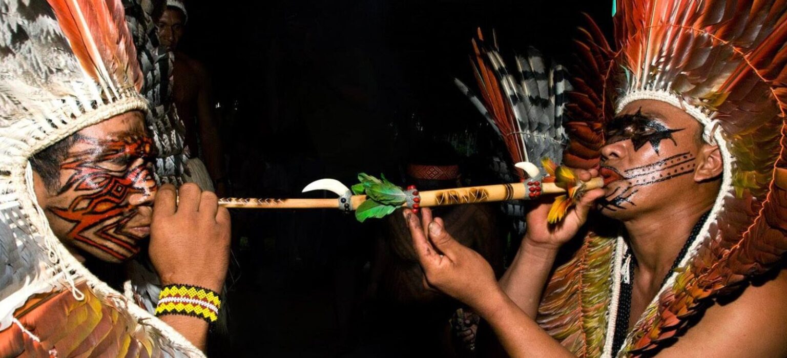 Integração de Saberes Indígenas e Novas Abordagens em Saúde: Um Projeto Transformador