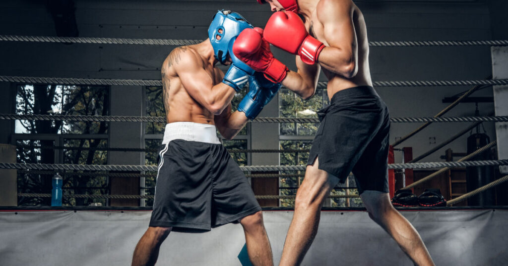 Ranking das Lutas Mais Pesquisadas: O Crescimento dos Esportes de Combate no Brasil