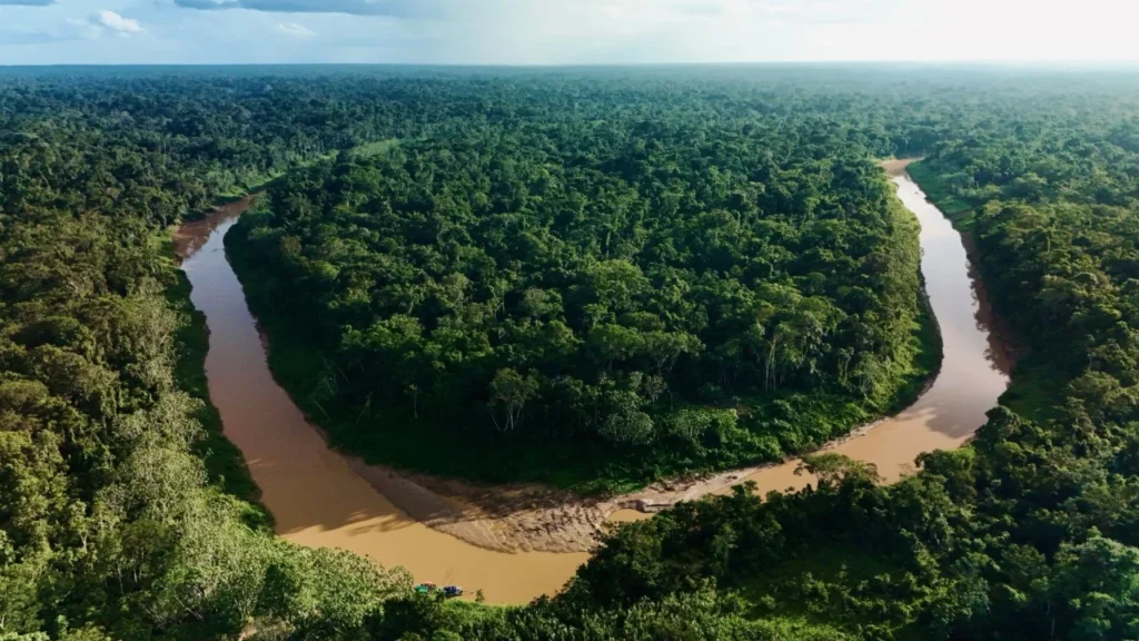 Amazonas reduz desmatamento em 14,6% em 2025, aponta relatório do MapBiomas