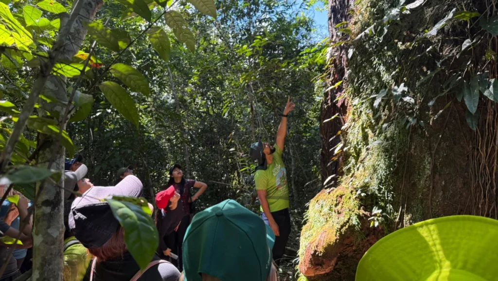 Prefeitura de Parintins impulsiona ecoturismo com formação de condutores de trilhas Prefeitura de Parintins impulsiona ecoturismo com formação de condutores de trilhas
