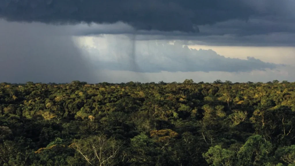 Mudanças Climáticas e Desmatamento Tornam Chuvas na Amazônia Mais Instáveis até 2050