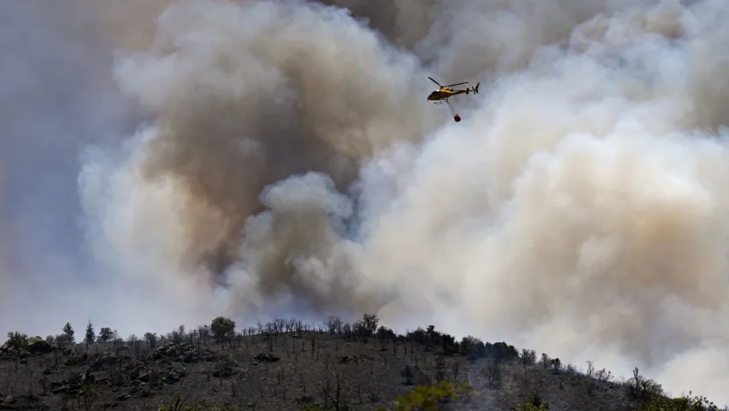 Incêndios na Europa queimam mais de 17 mil hectares e alertam para calor extremo Incêndios na Europa queimam mais de 17 mil hectares e alertam para calor extremo