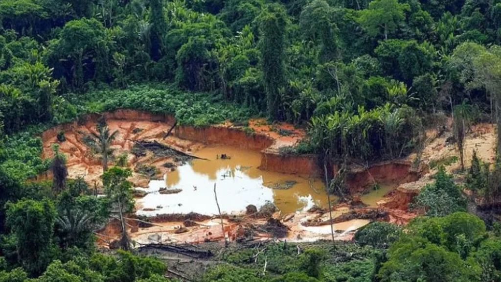 MPF exige apuração urgente de contaminação na Terra Indígena Waimiri Atroari no Amazonas