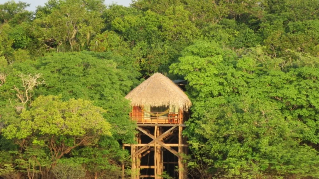 Como é dormir na floresta Amazônica? Descubra experiências únicas em hotéis de selva no Amazonas Como é dormir na floresta Amazônica? Descubra experiências únicas em hotéis de selva no Amazonas